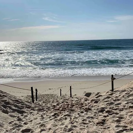 By The Beach: Sun, And Tranquility